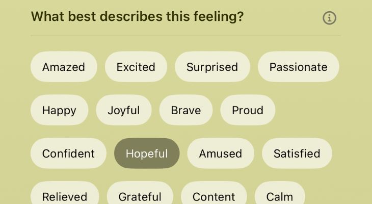 Варианты описания чувства и факторы воздействия.