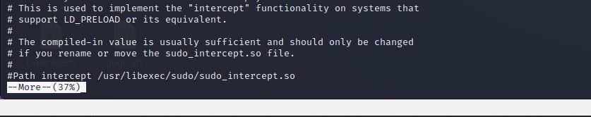 Скриншот more в Linux
