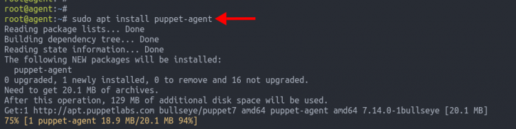 Установка пакета puppet-agent через apt на машине агент