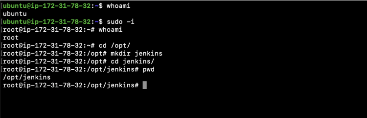 Создание каталога /opt/jenkins