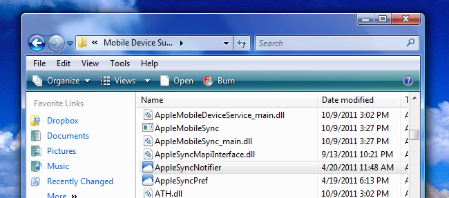 Окно расположения файлов Apple Application Support на Windows