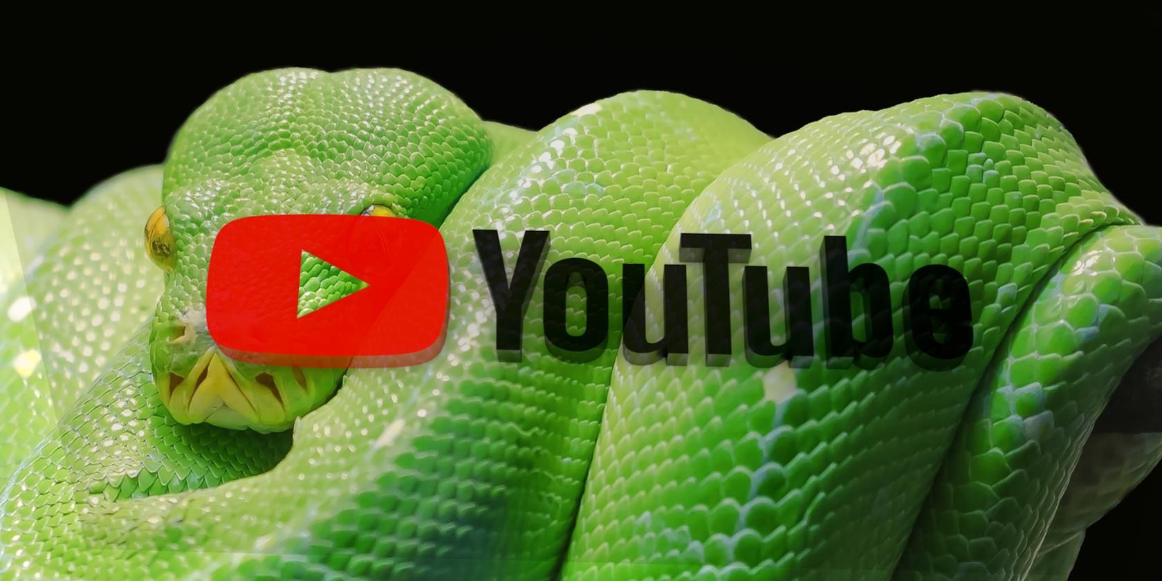 Скачать видео с YouTube с помощью Python