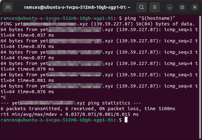 Проверка FQDN пингом