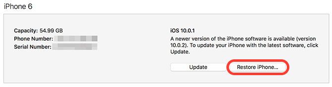 Restore iPhone Option