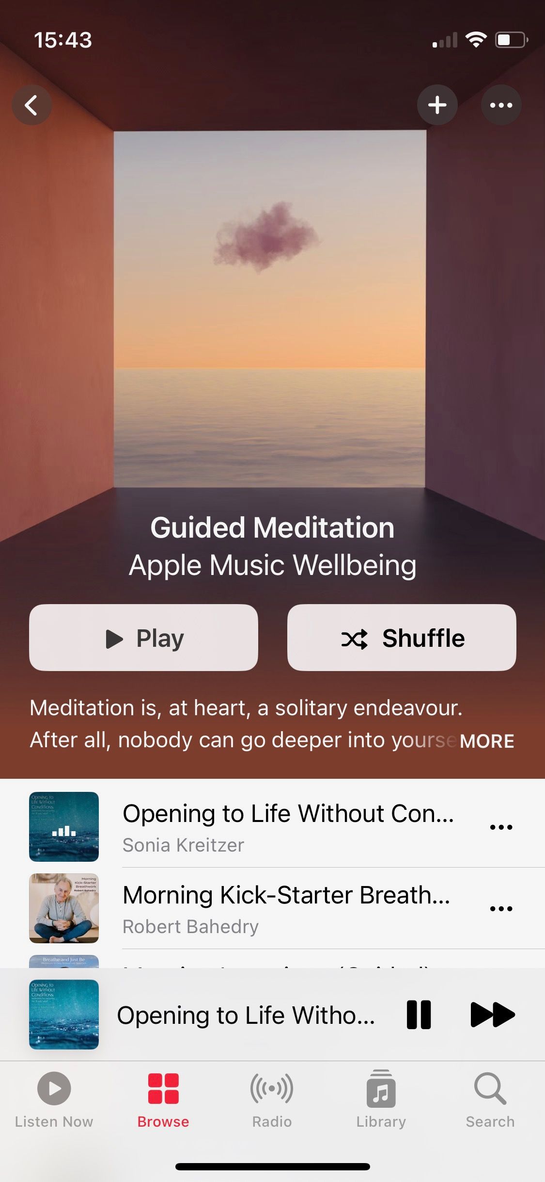 Скриншот плейлиста Guided Meditation в Apple Music