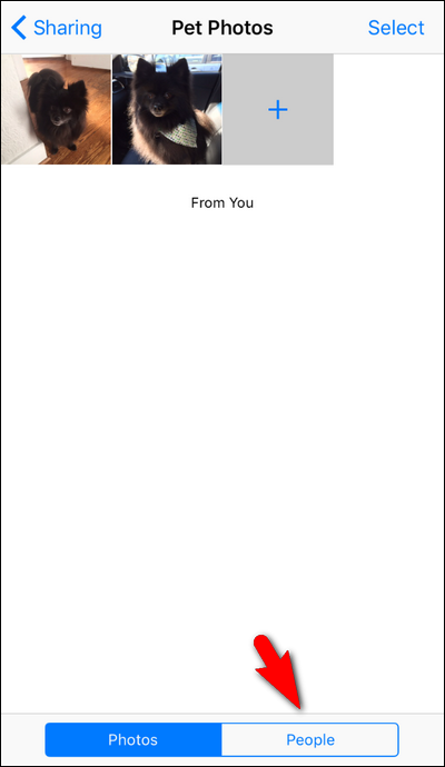 Меню «Люди» в общем альбоме — настройки участников