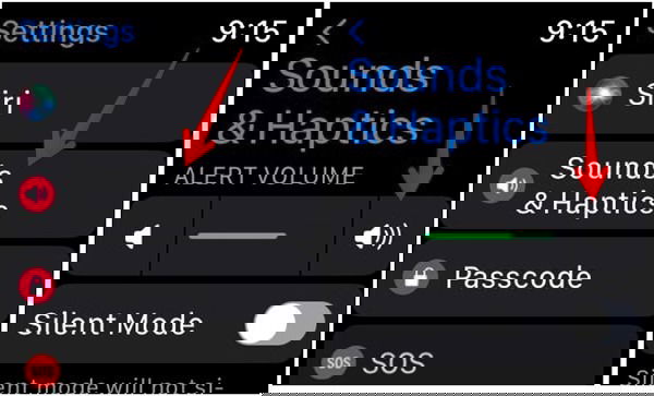 Ползунок громкости на Apple Watch