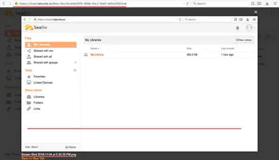 Просмотр файлов в Seafile