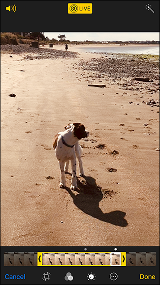 Точное обрезание начала или конца Live Photo