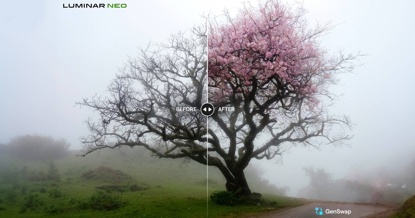 Luminar Neo GenSwap Before and After of Tree Swap