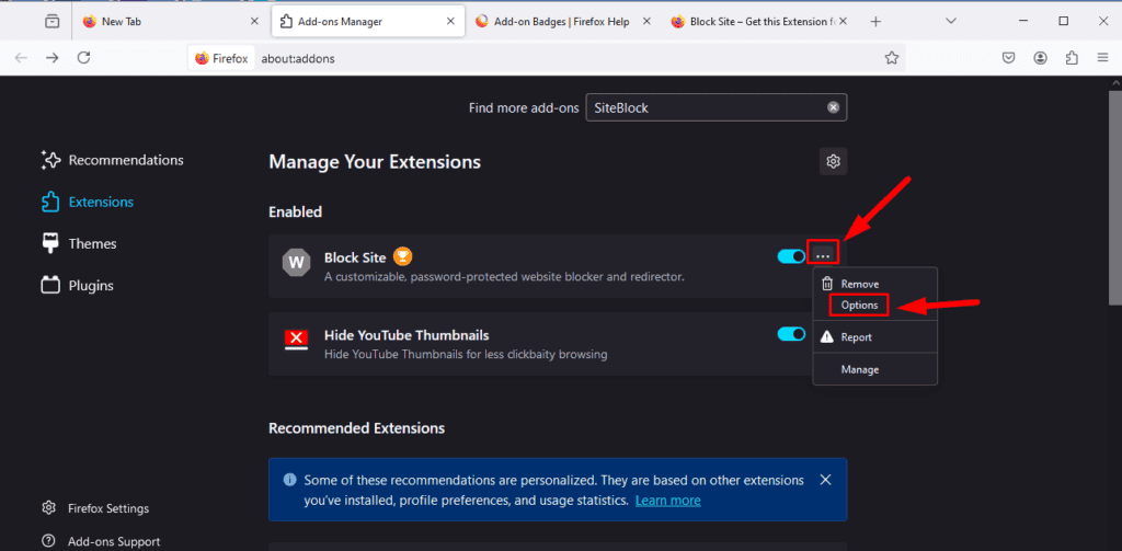 Меню с тремя точками у расширения и пункт Параметры