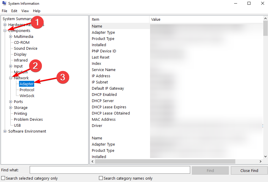 Список сетевых адаптеров в System Information