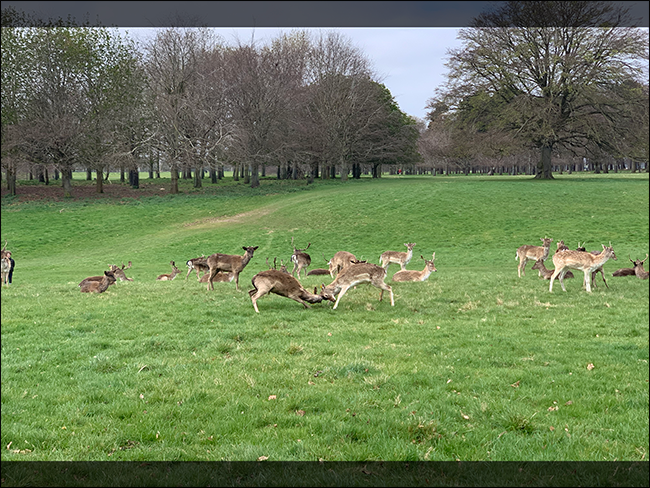 Как выглядит изображение, обрезанное для формата 6x4