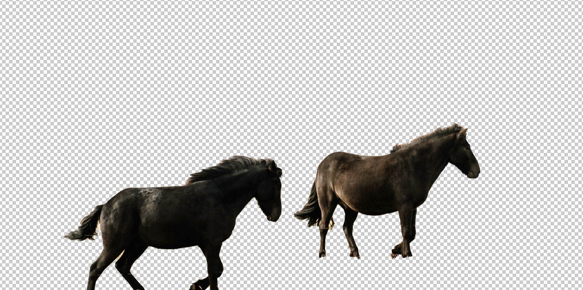 Две лошади на фоне — пример сложного фона