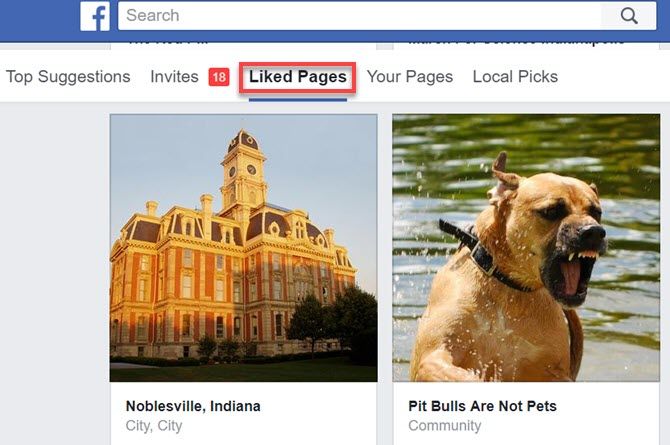 Понравившиеся страницы Facebook