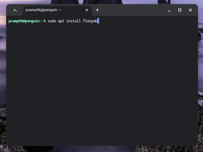 Установка flatpak через apt в Linux на Chromebook.