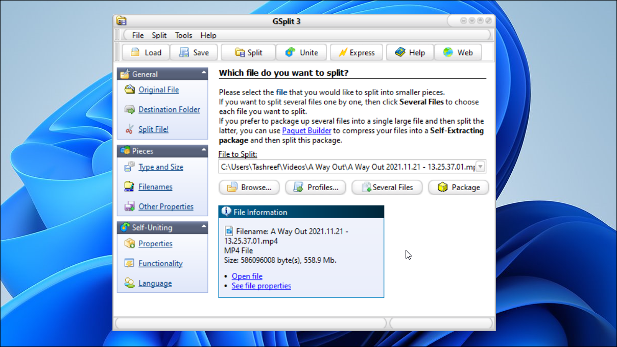 Окно программы GSplit для разделения файла