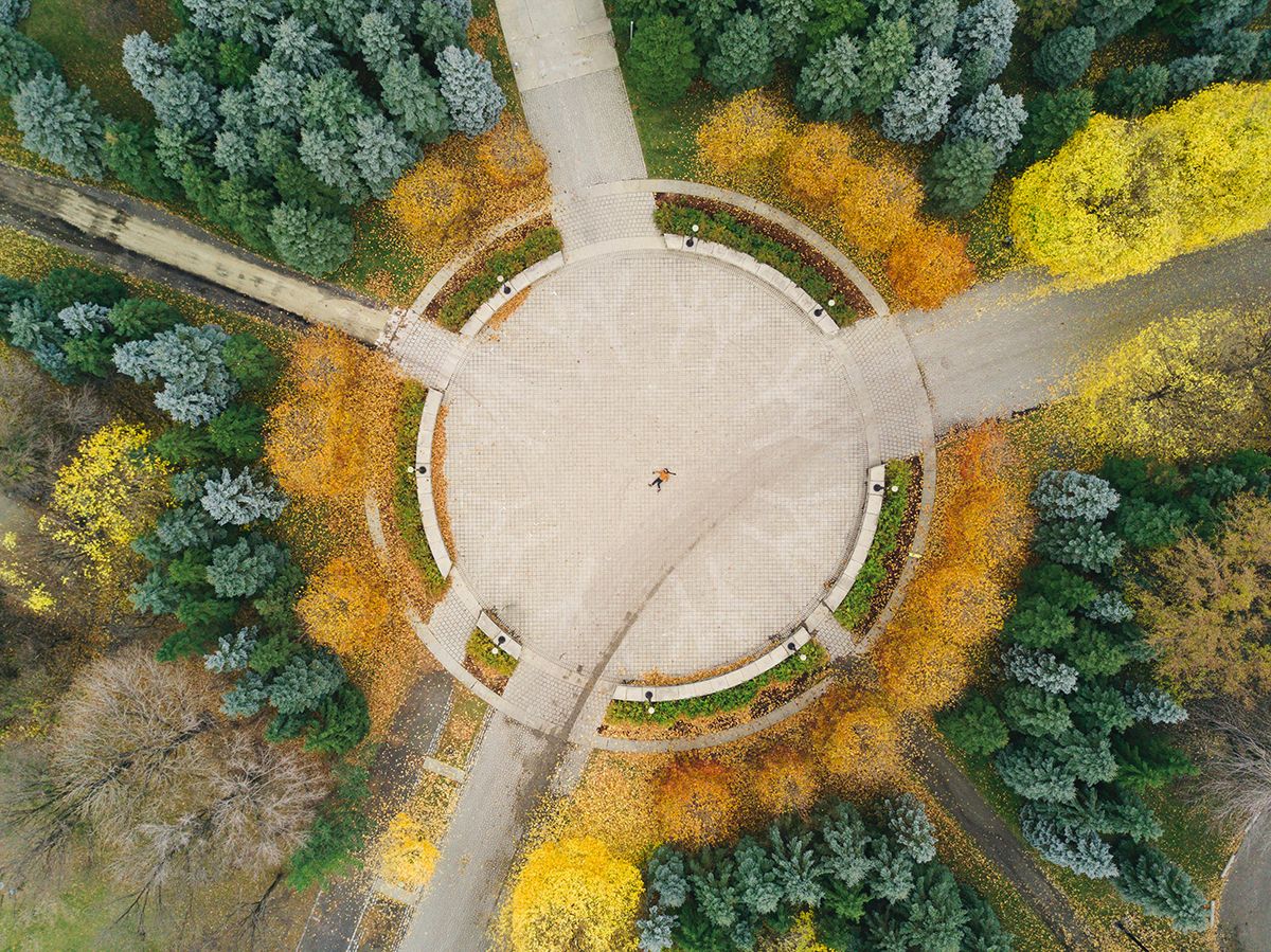 Bird's-eye view of large circular courtyard among forestry.
