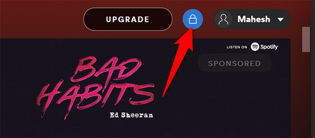 Значок замка, подтверждающий приватную сессию в Spotify на компьютере