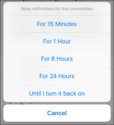 Выбор периода отключения уведомлений в мобильном Messenger