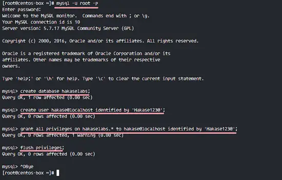 Создание пользователя и базы данных в MySQL