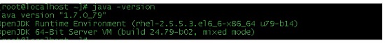 Вывод команды java -version после установки OpenJDK