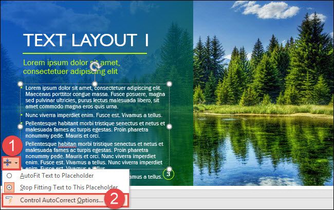 Переход к настройкам AutoCorrect через кнопку AutoFit Options