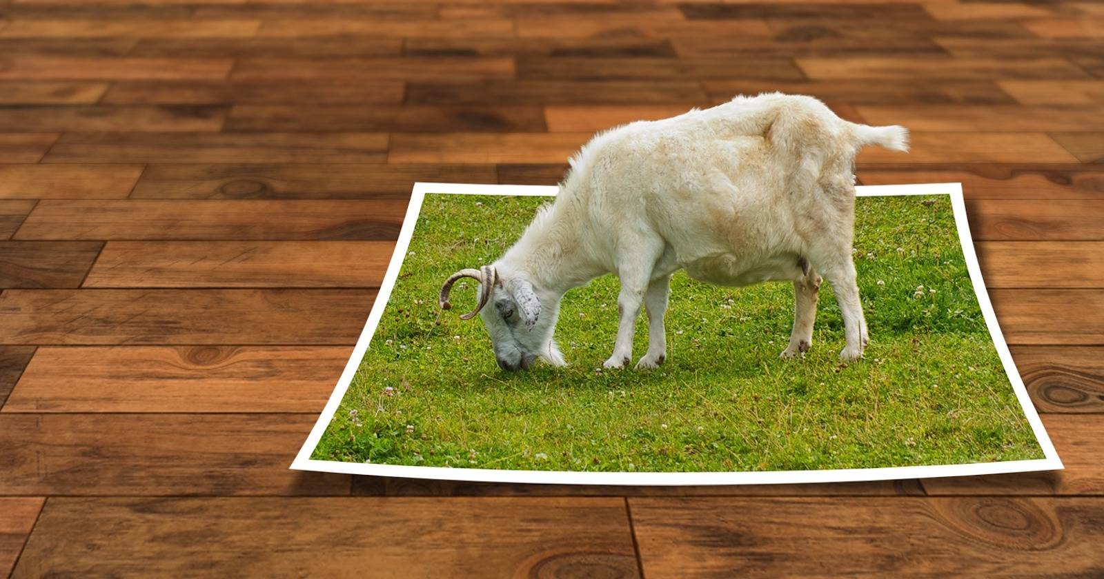 Крупный план фотографии, обрезанной фигурой в Photoshop