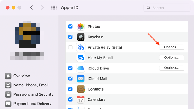 Access Private Relay settings on macOS