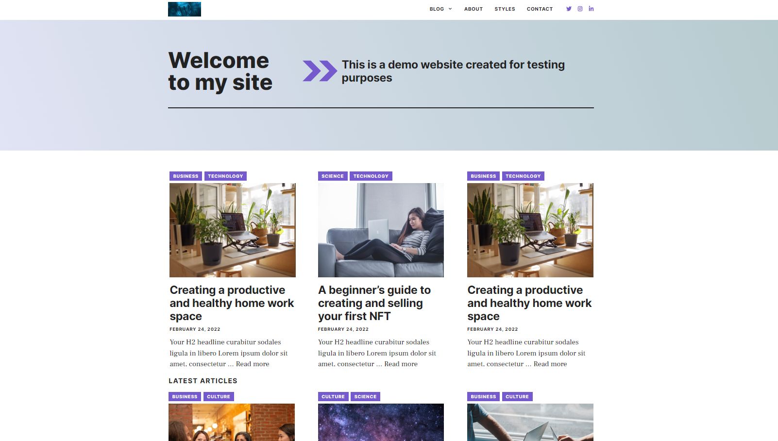 Демонстрация сайта WordPress после применения шаблона