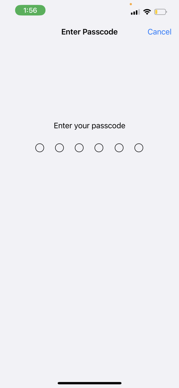 Запрос пароля iPhone для доступа к настройкам Face ID