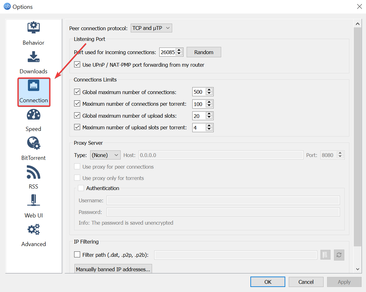 Настройки Connection в qBittorrent