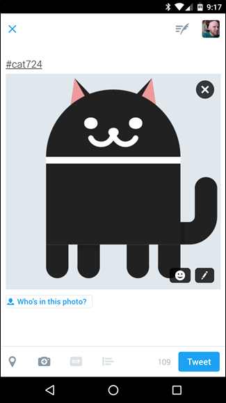 Опции для каждой кошки: поделиться или удалить
