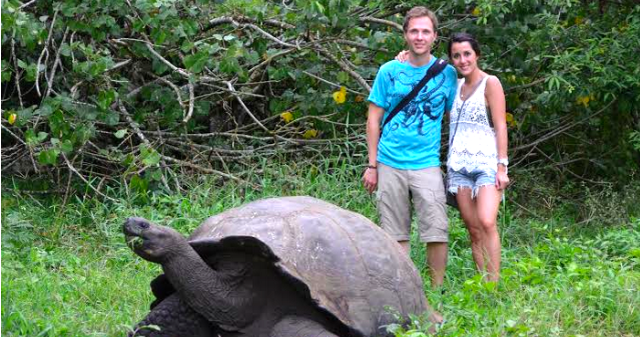 Коллаж: посадочный талон, карта, фото самолёта