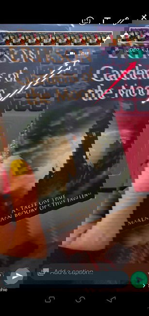 Выбор отправки как GIF в WhatsApp