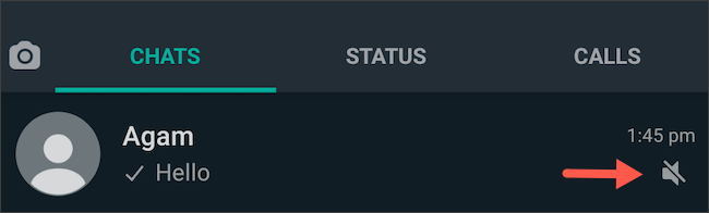 Значок заглушенного чата в списке WhatsApp