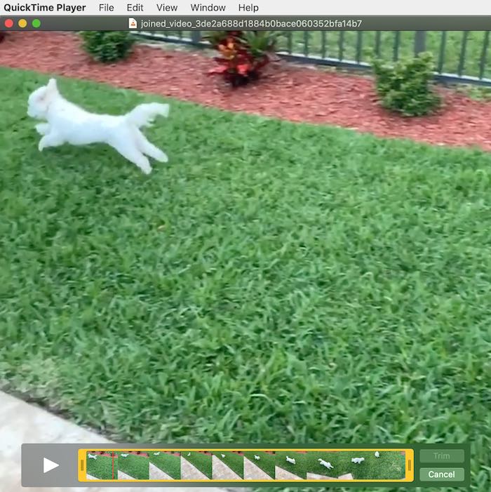 Movie Editing Quicktime Mac Trim Video