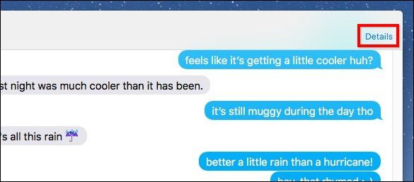 Детали беседы на Mac