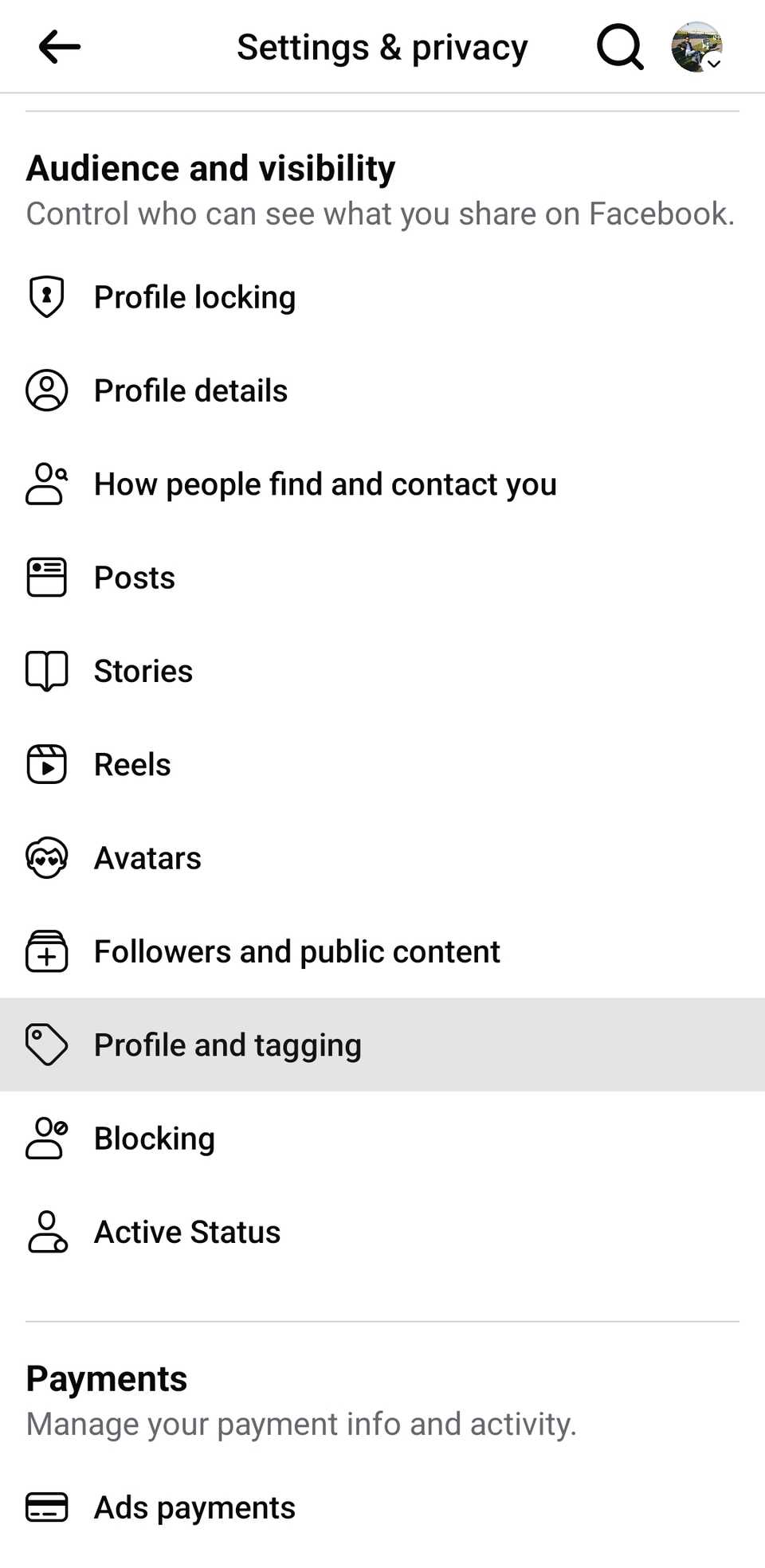 Опция «Профиль и отметки» в настройках Facebook