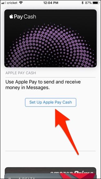 Экран подтверждения продолжения настройки Apple Pay Cash