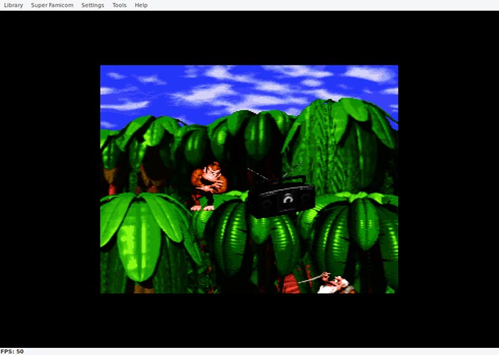 Игра загружена в Higan и готова к настройке