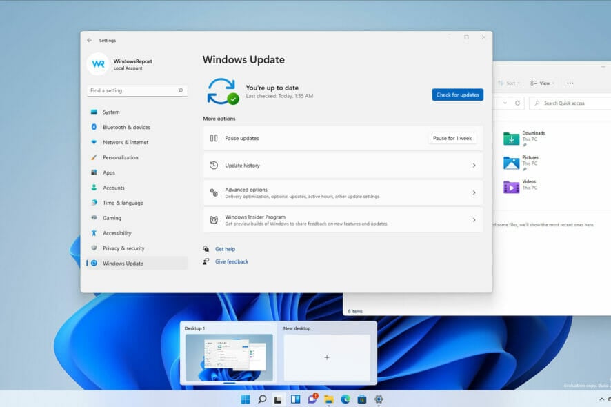 Как проверить версию Windows 11 — 5 простых способов