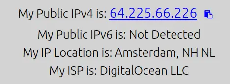 Результат whatismyip — отображение IP сервера