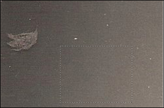 Инструменты выделения: прямоугольник и лассо