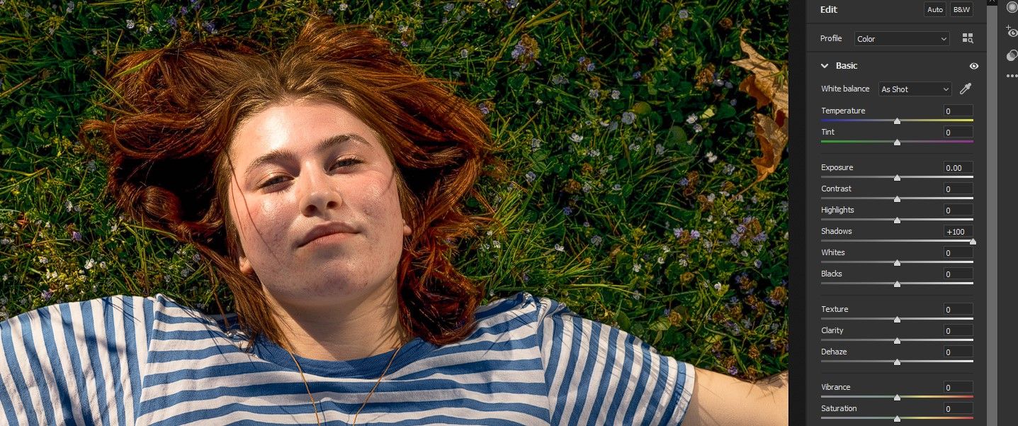 Ползунок Shadows установлен на +100