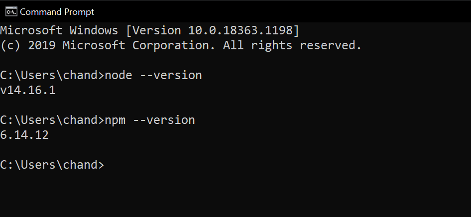 Вывод версий Node.js и npm в терминале