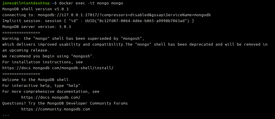 Скриншот использования Mongo shell в Docker