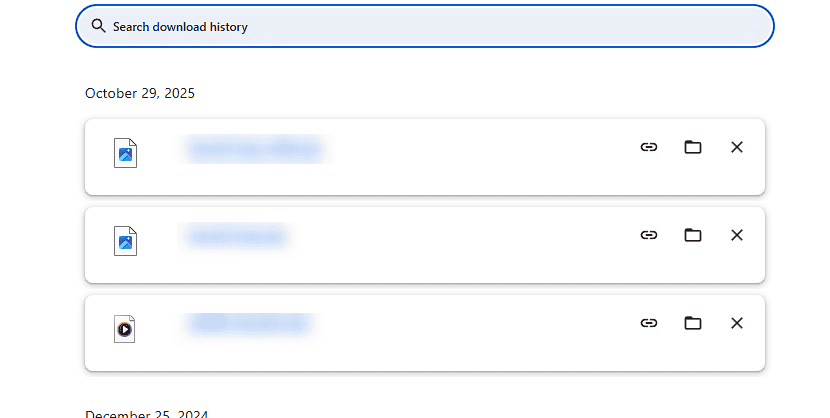 Скриншот страницы загрузок в Google Chrome (Ctrl+J)