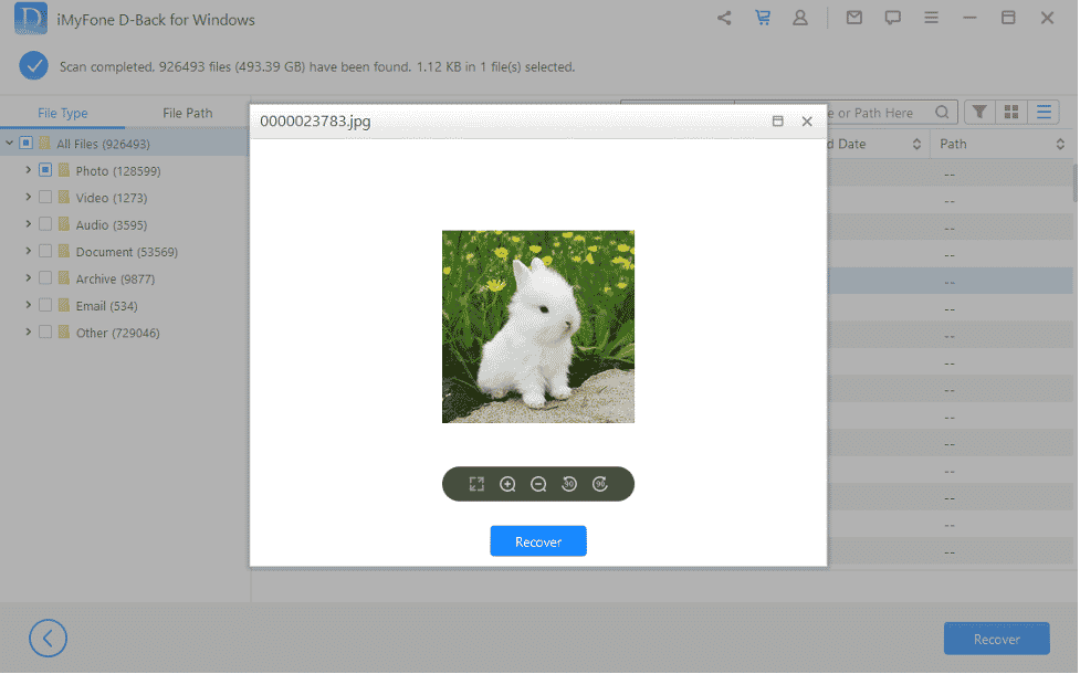 Окно выбора файлов для восстановления в iMyFone D-Back