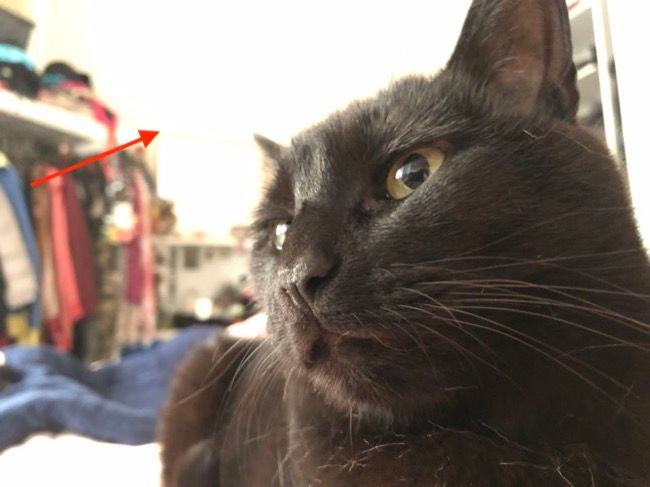 Пересвеченные участки кадра